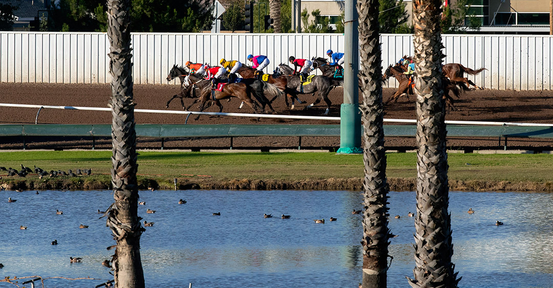 Los Alamitos Race Course racing